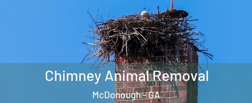  Chimney Animal Removal McDonough - GA