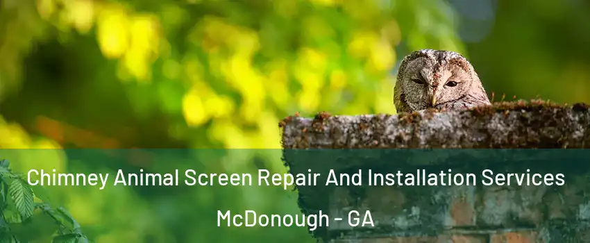  Chimney Animal Screen Repair And Installation Services McDonough - GA