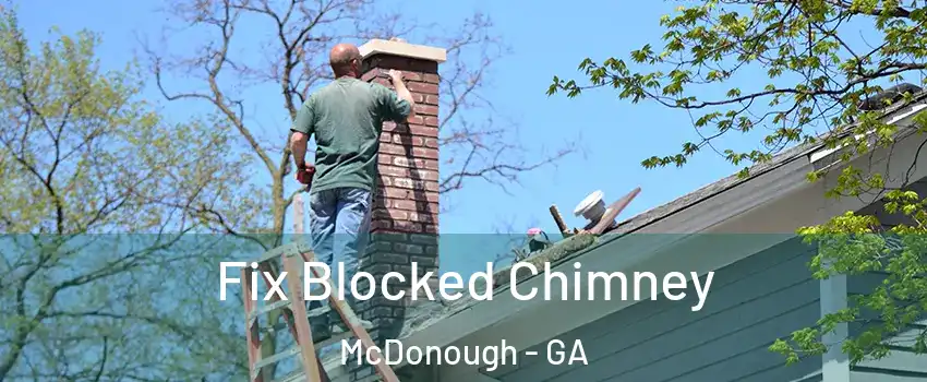  Fix Blocked Chimney McDonough - GA