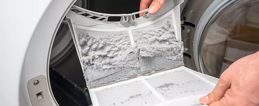 Best Dryer Lint Removal Company in McDonough, Georgia