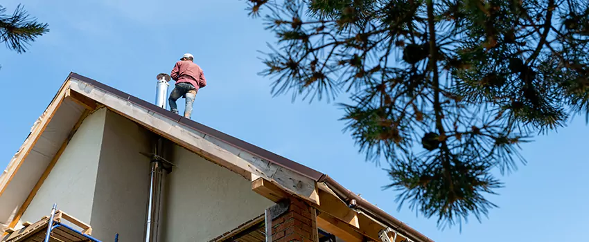 Birds Removal Contractors from Chimney in McDonough, GA