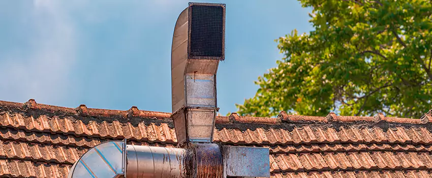 Chimney Blockage Removal in McDonough, Georgia