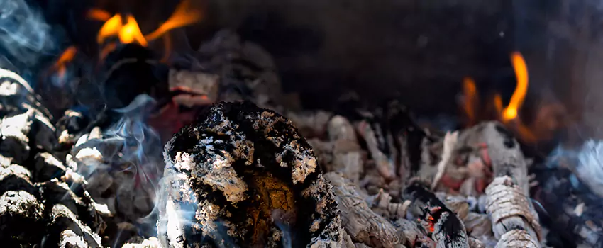 Creosote Removal Experts in McDonough, GA
