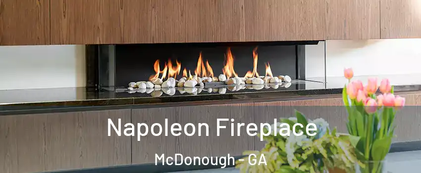  Napoleon Fireplace McDonough - GA